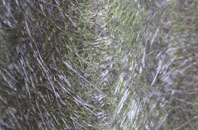 Whitehouse Common fibreglass roof work